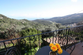Hotels in Rogliano